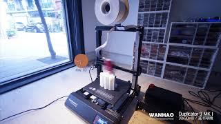 Wanhao Duplicator 9／96hrs stress printing test