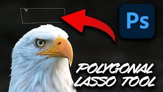 Photoshop Polygonal Lasso Tool Tutorial