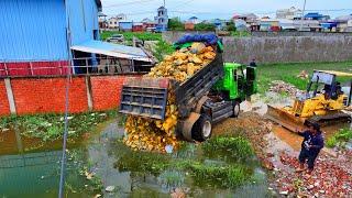 Start New Project Flooded area Landfill !! Bulldozer Komat'Su D20p Push Stone and 5Ton Truck Unload