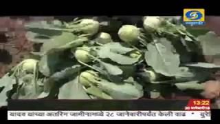 Buldhana   Sendriy Sheti Story
