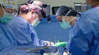 UMMC Transplant Performs Internal Seven-way Kidney Swap