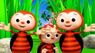 Ladybug Adventures|  Little Baby Bum - Preschool Playhouse