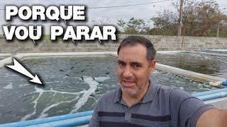 VOU PARAR COM A CRIAÇÃO DE TILÁPIAS SAIBA PORQUE canal saalada