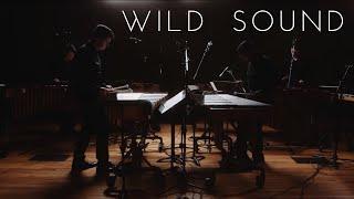 Wild Sound by Glenn Kotche