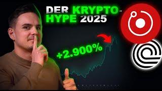 Warum haben ALLE diesen Hype Altcoin-Sektor für 2025 vergessen!?