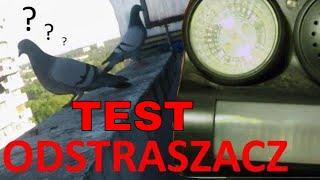 Test odstraszacza gołębi dźwiękowy świetlny za 30 zl z Biedronki