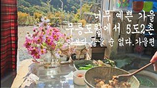 시골생활(countryside life)-산골 농막에서 즐기는 5도2촌. 혼자 보기 아까운 산골 풍경. 메리골드 꽃차 만들고 가을가을한 풍경 즐기기. 무릉도원.