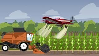 History of Maize Cultivation and Consumption in South Africa 1