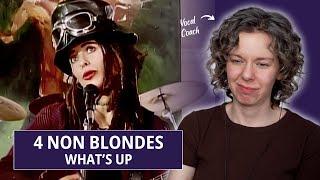 So much to talk about! FINALLY Analyzing Linda Perry's Vocals in "What’s Up" by 4 Non Blondes