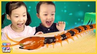 으악 지네다! 진짜 같은 지네 전갈 장난감 놀이 Real like Scorpion Centipede Toy & Play