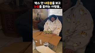 죽은 반려견을 인형으로 제작해주는 사람들