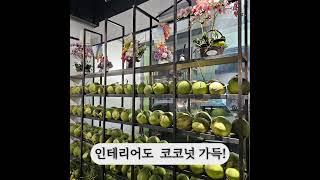 코타키나발루 이색맛집 코코넛 푸딩 추천합니다 #드림즈인코리아유학원 #코타키나발루한달살기 #코타키나발루 #코타키나발루영어캠프 #코타맛집