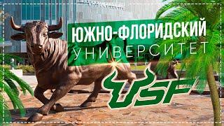 USF/Университет Южной Флориды. Грандиозные проекты студентов. Обзор кампуса. Лаборатории. Библиотека