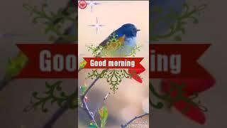 Vikram Singh Rajput(64)