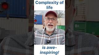 The complexity of life is awe-inspiring!