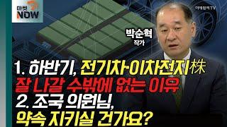 전기차·이차전지株, 하반기 더 잘 나갈 수밖에 없는 이유|금투세, 사모펀드, 국회의원 재산공개 등/박순혁 작가