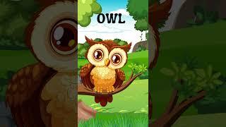 Amazing Animals for Kids:Fun Facts & Learning About Animals | Animals of the World - OWL