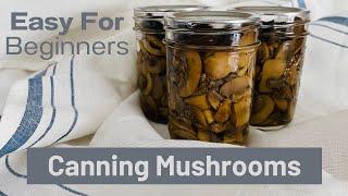 Pressure Canning Mushrooms SO EASY For Beginners + What’s My Name?  Chit Chat While I Work