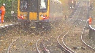 leaves on the line  5th Dec 2013