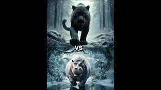 Hippo vs Black Panther White Animals Battle (Lion, Tiger, Wolf)