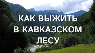 Как выжить в лесах Кавказа. Что делать, если заблудились, и что можно есть в лесу