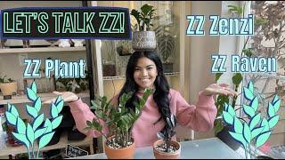 3 Types of ZZ Plants & Why I Love Them!