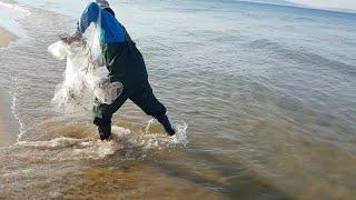 투망낚시. 고래불 how to throw a cast net 撒网捕鱼 I take you by net.