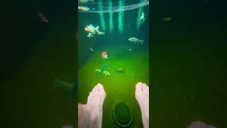 Chillin with the fish #koi #koipondbuild #koifish #koifishpond