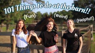 101 Things to do at the barn!!