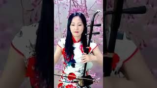 雨夜花｜梅雨の美旋律