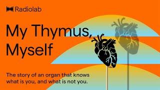 My Thymus, Myself | Radiolab Podcast