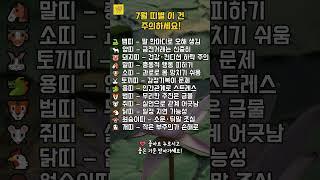 7월 띠별 이 건 주의하세요!  #띠별운세 #사주 #오늘의운세