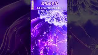 思维的秘密:思维是宇宙中最厉害的能量之一