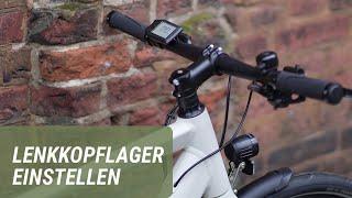 Lenkkopflager einstellen bei Fahrrädern und E-Bikes | Prophete