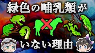 【ゆっくり解説】熱帯の生物はなぜカラフルなのか？