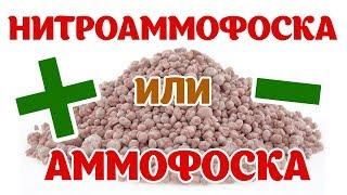 Комплексные удобрения: Нитроаммофоска и Аммофос. Плюсы и минусы