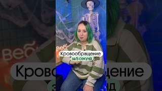 КРОВООБРАЩЕНИЕ ЗА 5 СЕКУНД?! #биология #огэ #лайфхаки