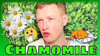Chamomile Extract Benefits (Sleep Aid / Anti Anxiety)