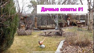 Дачные советы, лайфхаки и подсказки.  # 1