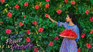 Hibiscus flowers! Not only to make pink tea, also to make purple desserts & sweets | Traditional Me