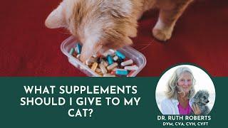 Top 5 Essential Supplements for Your Cat's Health! Vet Expert's Guide Revealed!