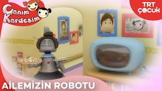 Canım Kardeşim - Ailemizin Robotu