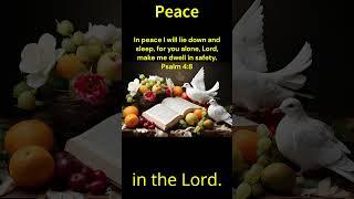 In peace I will lie down and sleep, for you alone, Lord, make me dwell in safety.Psalm 4:8#Jesus#Joy