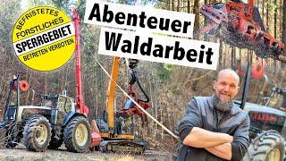 Holzernte mit Seilbahn | TST Junior und Bagger Prozessor Timbernator | Polleros Holztransporte