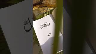 Peer e Kamil Novel Famous Heart Touching Lines 