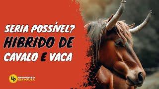 CRUZAMENTO DE CAVALO E VACA | Qual o Resultado do Cruzamento