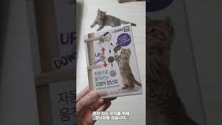 자동으로 움직이는 고양이 장난감?