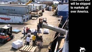 USCGC TUPELO fishing the Bering Sea as COURAGEOUS