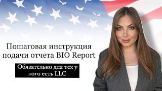 Пошаговая инструкция подачи отчета BIO Report 2024| Какой налог платить, если открыто LLC.