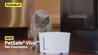 Upgrade Your Pet's Hydration with PetSafe® Viva™ Pet Fountain